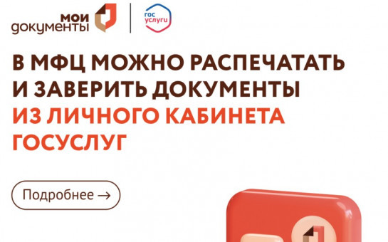 В МФЦ можно распечатать и заверить документы из личного кабинета ГосУслуг.